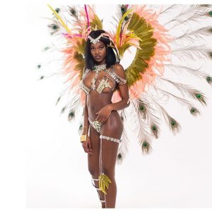 toronto carnival costumes